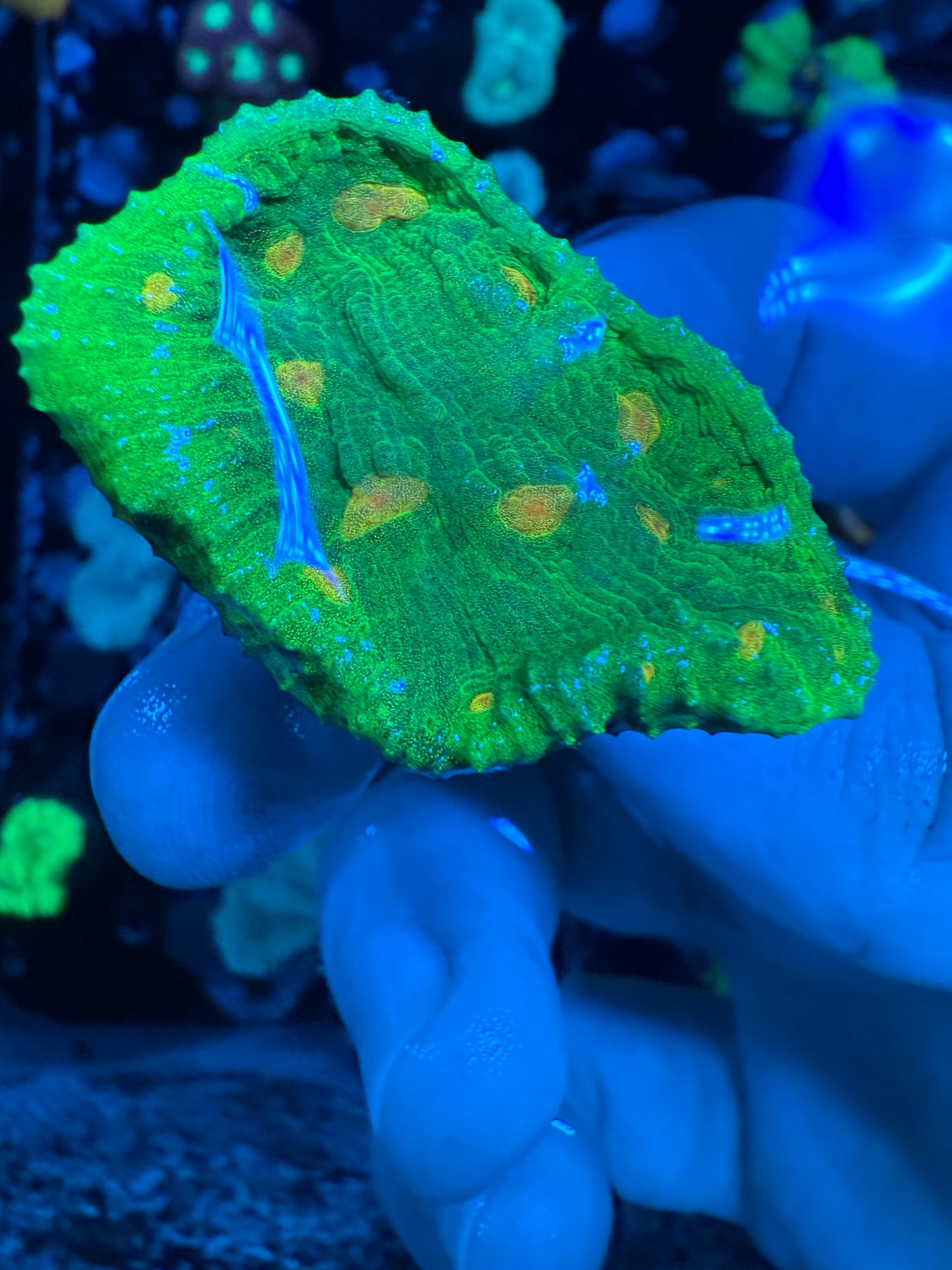 Space Invader Chalice