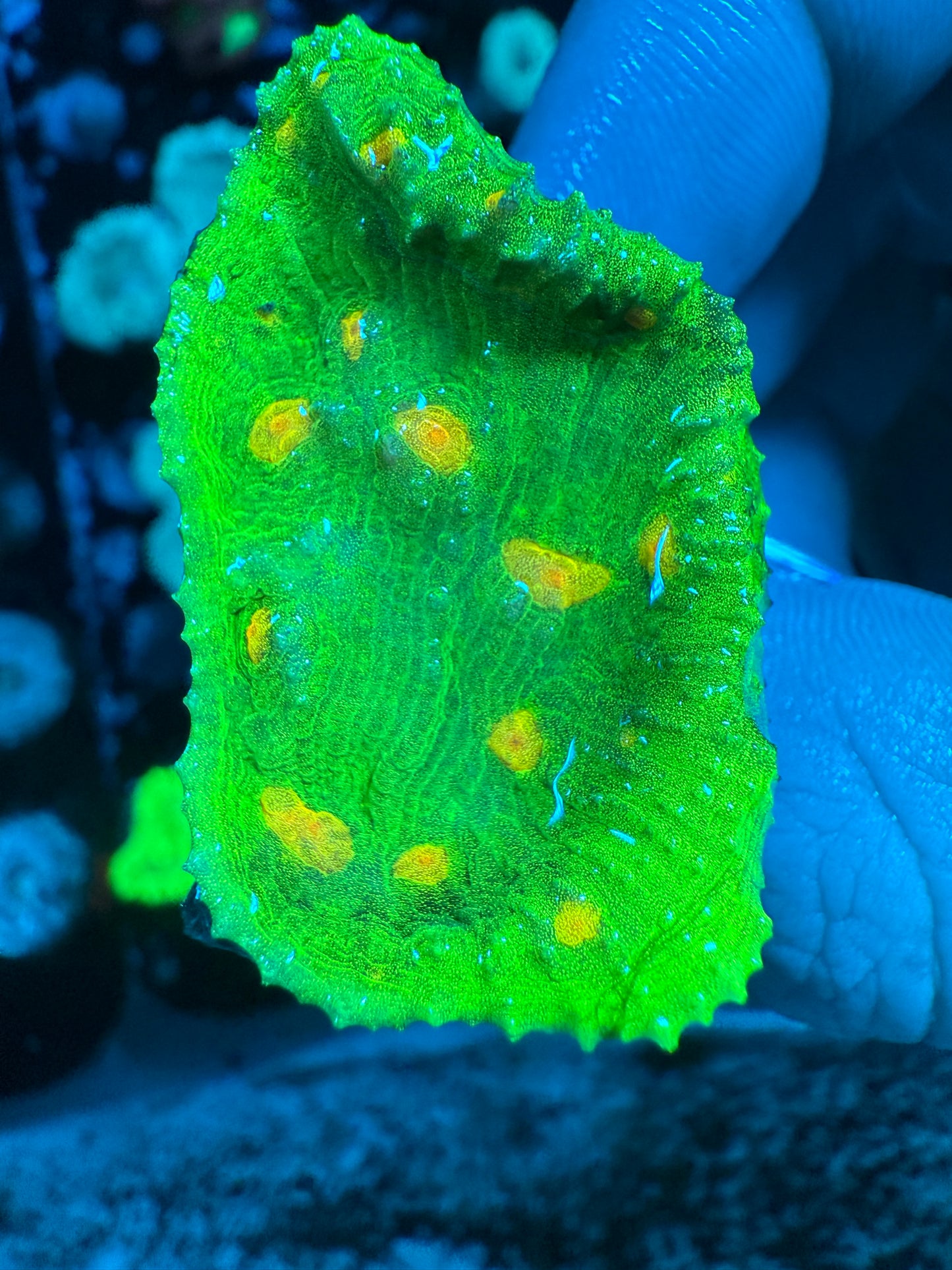 Space Invader Chalice